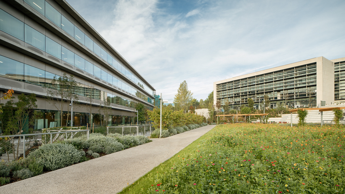 Campus de Roche Diagnostics en Sant Cugat del Vallès: dos edificios unidos por un jardín